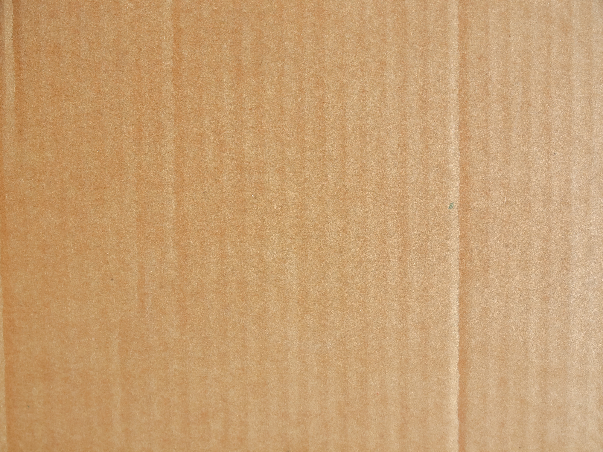 Cardboard